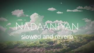 Nadaaniyan Slowed And Reverb