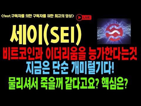   세이 세이코인 세이코인전망 SEI BTC 코인전망 비트코인 이더리움 도지코인