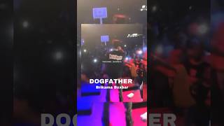 DOGFATHER  Brikama Boxbar Yesterday #dogfather #gambia #gammusic #senegambia #gambianews #viral