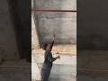 ceiling pvc pipe fiting karne ka aasan tarika part2 #share #followback #followformore #plumbing