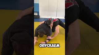 Проход в ноги,высед и контроль сбоку в мма🤼♂️
