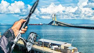 The Best Ways to Catch Snapper & Grouper in Tampa Bay
