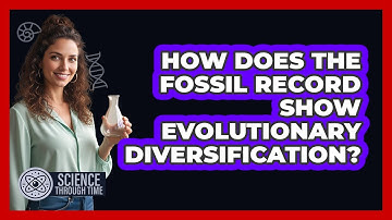 How Does the Fossil Record Show Evolutionary Diversification?