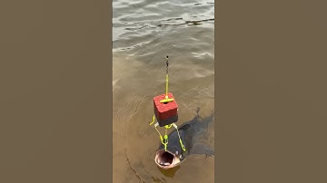 Các bác đã thử câu cá mè bằng mồi gạch chưa? #Đi_Câu_Cùng_Ki #Mồi_gạch_Câu_Cá #Mồi_gạch #fishing