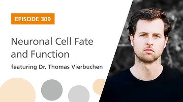 Neuronal Cell Fate and Function featuring Dr. Thomas Vierbuchen | The Stem Cell Podcast