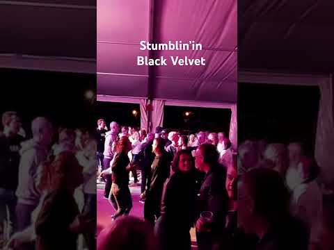Black Velvet Partyzenekar - Stumblin’in