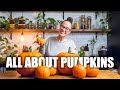 Oh My Gourd! Everything to Know About Pumpkins | How to Plant Based Ep 4