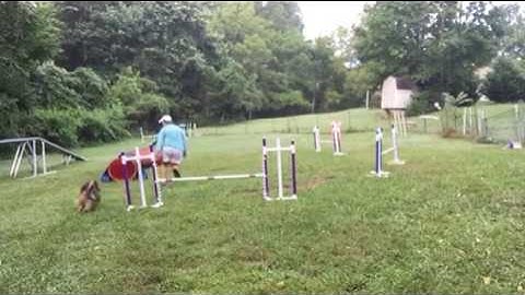 Week 2 Lecture 1   Lecture 2 Drills # 1 & 2