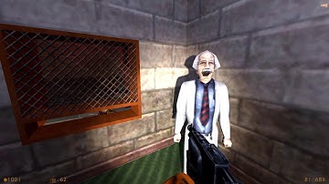 Half Life Source: NPCs keep screaming for no reason