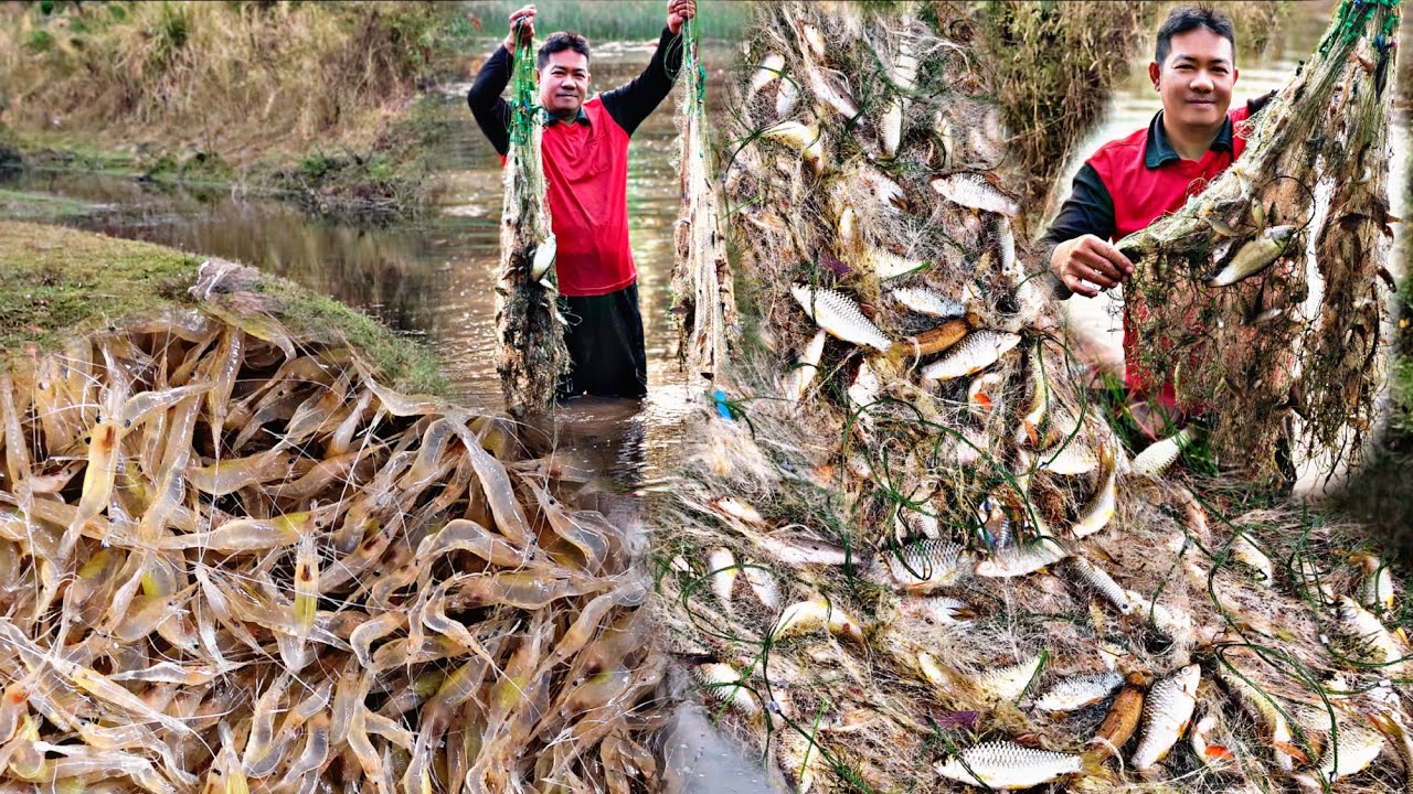 ป๊าดๆดักตุ้มใส่มองโพดโพปลาขาวเต็มมองเลยครับและกุ้งขาว/12/ก.พ/69