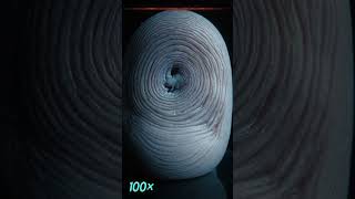 What Your Fingerprint Really Looks Like