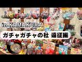 【ガチャガチャ】※特別編※鎌倉遠征!!中身が選べる斬新なガチャガチャの杜(もり)へ行ってきました!パワースポット銭洗弁財天で金運もアップ!?カプセルトイ/vlog