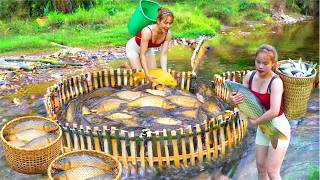 This Bamboo Fish Trap Catches a Lot of Big Fish - Most Interesting Fishing