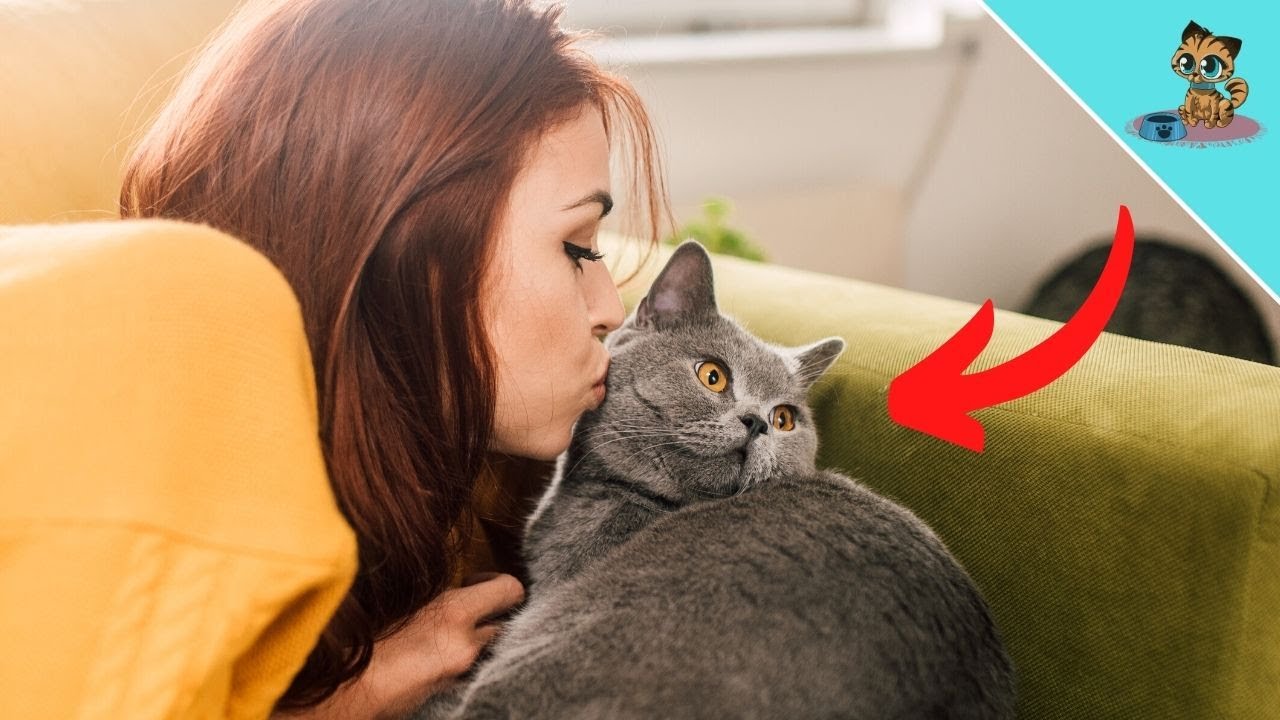 THIS is why you should NOT kiss your cat ⛔️ YouTube