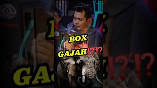 sangdutan tdk wajib gajahan.. #soundkonten #soundomahan #hobisound #fypシ゚viral