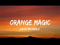 Miniature de la vidéo de la chanson Orange Magic