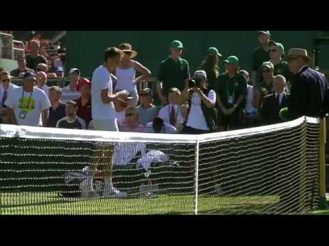 Medvedev throws coins at umpire