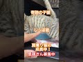 2025年6月19日