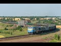 Знойным утром под лай собак поезд медленно спускается к реке / TE33AC-2009 with freight train 4K