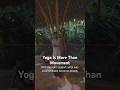 Yoga Is More Than Movement | Finding Stability Through Practice in Bali