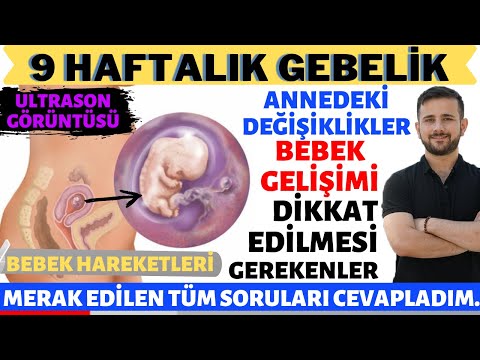 Video: Hamiləlik zamanı kolostrum, doğmamış körpə üçün ən qiymətli məhsuldur