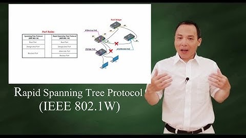 Rapid Spanning Tree Protocol (IEEE802.1W)