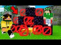 HO BARATO CON NICO NELLE NUOVE BEDWARS!