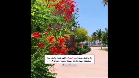 فِيهِمَا عَيْنَانِ تَجْرِيَانِ - من سورة الرحمن تلاوه هادئه