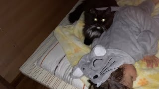 ネズミに追い回されるも最後はネズミと寄り添って眠る猫　ラガマフィン　A cat chased by a mouse