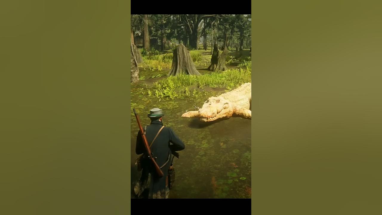 When Can You Hunt Bull Gator Rdr2 legendary bull gator hunting rdr2| #shorts #short #rdr2 - YouTube