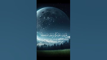تلاوة هادئة لآيات من القرآن #قران_كريم #تلاوة_خاشعة #قرآن الكريم راحة نفسية
