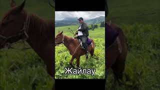 Жайлау-2 #shorts #отдых