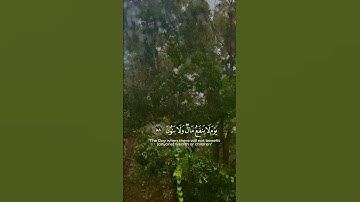 قران كريم 🥺🥺 ارح سمعك 🌸🌺#اكسبلور #قران_كريم #fyp #viral #like