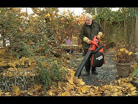 Vidéo: Souffleur électrique - votre assistant dans le nettoyage du jardin