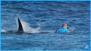 PESSOAS QUE ESCAPARAM DE ATAQUES MARINHOS POR POUCO!