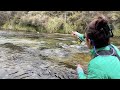 Vlog: The Best Trout Fishing of My Life!