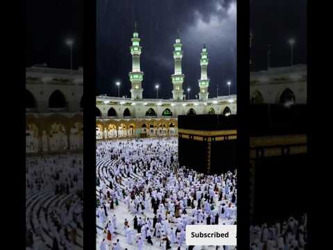 م ح م د س ي د ال ك و ن ي ن و الث ق ل ي ن      
