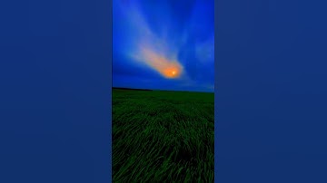 تلاوة خاشعة للشيخ محمد اللحيدان لآية "ويل لكل أفاك أثيم". صوت يهز القلوب! #quran #تلاوة_خاشعة #قرآن