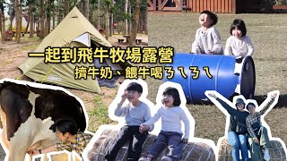 飛牛牧場露營去！餵小牛喝牛奶、擠牛奶、看鴨子散步～ #苗栗親子露營區推薦