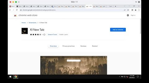 XI New Tab browser-hijacking extension removal help.