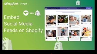 How to Embed Social Media Feeds on Shopify Store | 2023