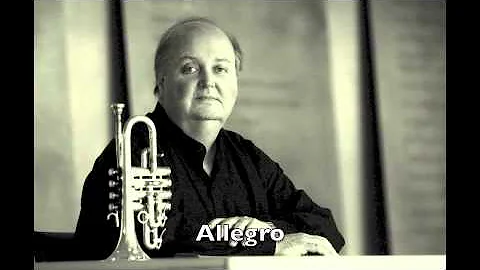 Vivaldi - Concerto in C: Edward Carroll, Ad van Zo...