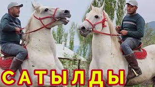 Сатылды Берлин✊️