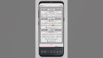 113 - | سورة الفلق |