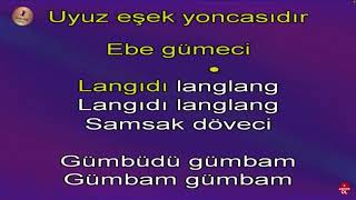 Ebe GÜMECİ(LAN GIDI LANG) KAREOKE #kareoke #ebegümeci #şarkı #trendşarkılar Resimi