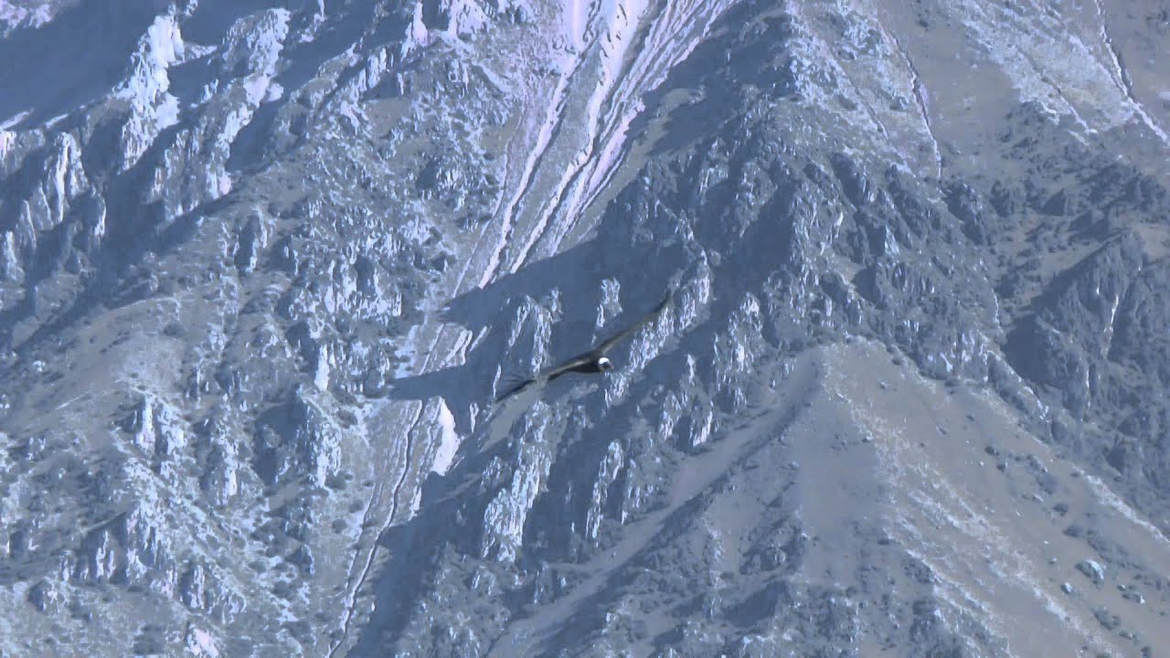 Полет кондора - YouTube