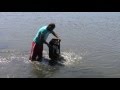 Populare Balta Matara 1 la data de 16 07 2016 !!