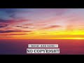 LIQWYD - LIGHTS (Copyright Free Music And Song)