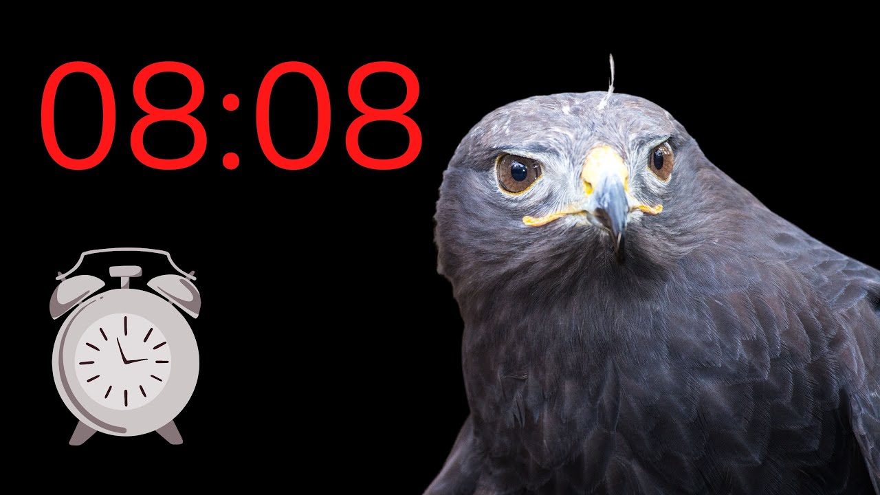 Heure MIROIR 08:08 : bonne nouvelle ? ⏰