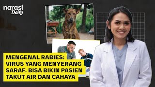 Mengenal Rabies: Virus yang Menyerang Saraf, Bisa Bikin Pasien Takut Air dan Cahaya | Narasi Daily